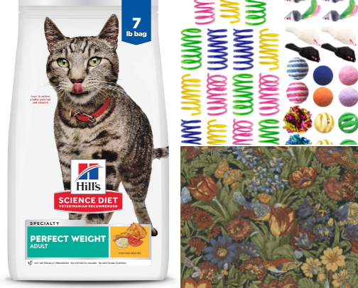 The Best for Your Cat cover photo collage