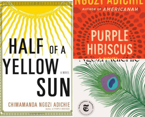 My best modern African novels cover photo collage