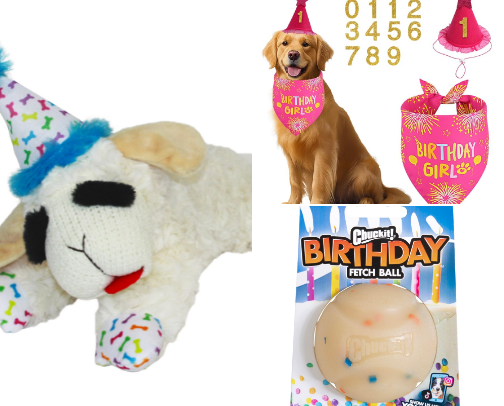 Dog Birthday essentials 🎂 cover photo collage