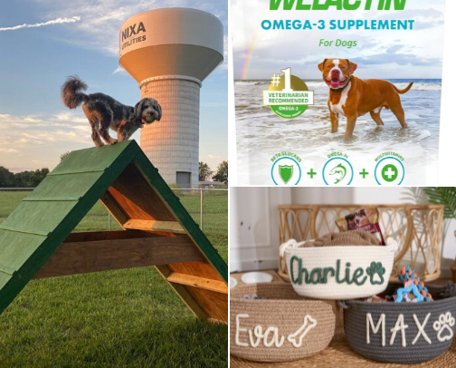 My Puppy Deserves the Best cover photo collage