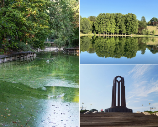 Bucharest Places I’d Actually Recommend cover photo collage