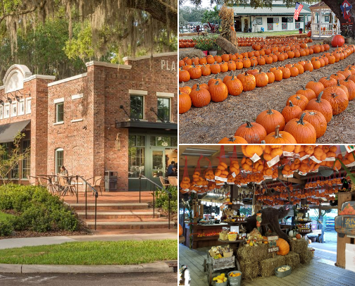 Pumpkins, Leaves & Cozy Things To Do Around Central Florida cover photo collage