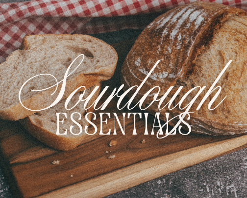 From Starter to Success cover photo collage