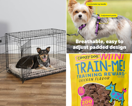 Cyndi's Favorite Things - 2026 cover photo collage