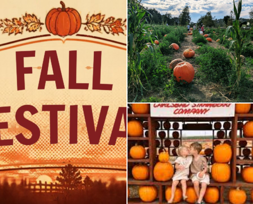 Fall Things to do in North San Diego County cover photo collage
