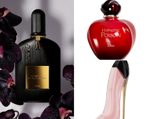 Niche & Ultra Luxury Fragrances ✨ cover photo collage