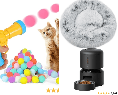 Toys, comfort, and nourishment for dogs and cats. cover photo collage
