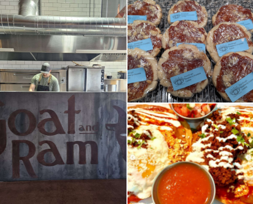 Mesa Local Favorites cover photo collage