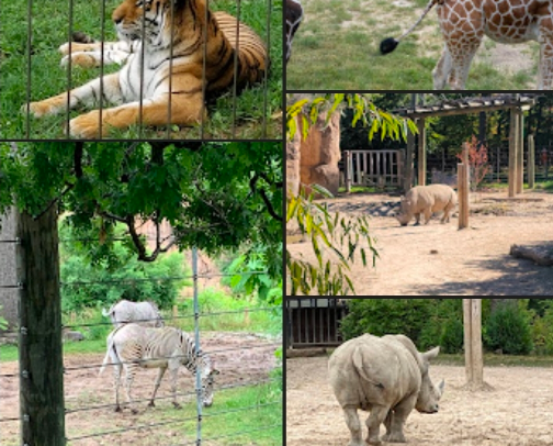 Must do Illinois cover photo collage