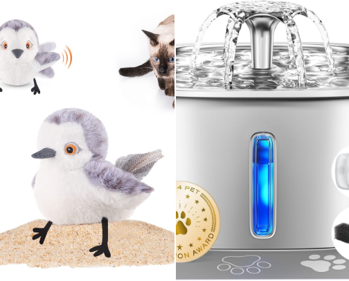 Supplies for cats and dogs cover photo collage