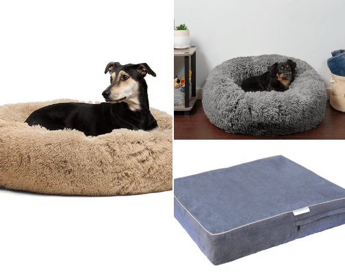 Dog beds cover photo collage