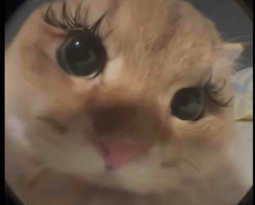 Low Maintenance Makeup cover photo collage