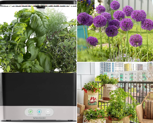 Urban Farming, Grow Fresh, Live Green & Feel Amazing cover photo collage