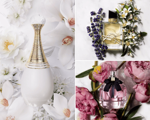 The most complimented parfumes 🌺 cover photo collage