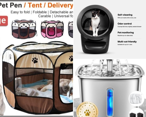 CAT LIFE 🐾 cover photo collage