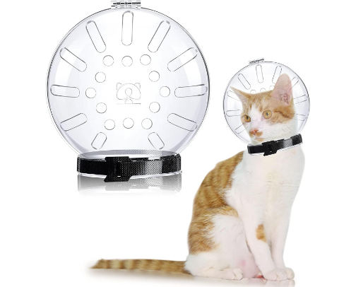 Cali’s Favorite Cat Products (Tested & Loved) cover photo collage