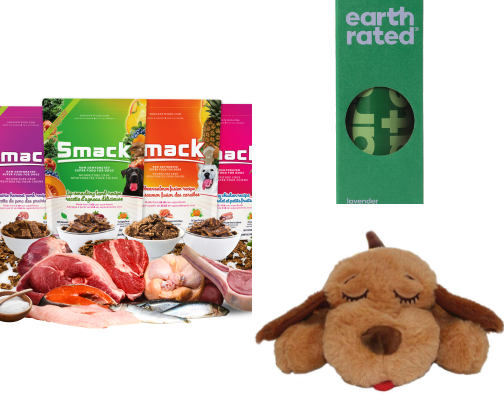 Essentials for your pup 🐶 cover photo collage