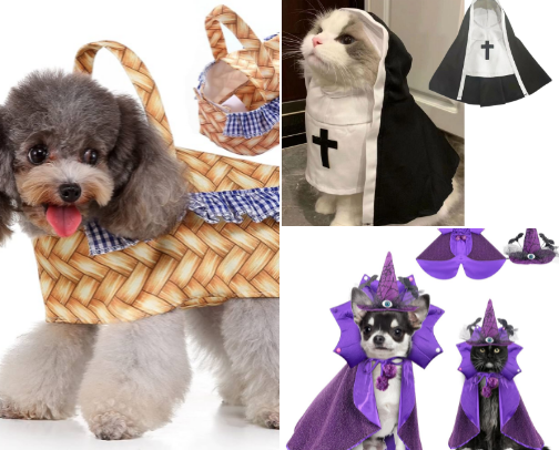 Halloween Costumes for your furry friends cover photo collage