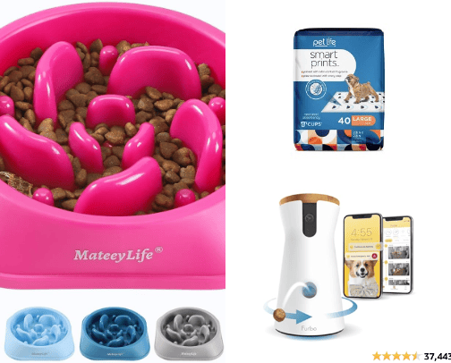 New Puppy Must-Haves cover photo collage