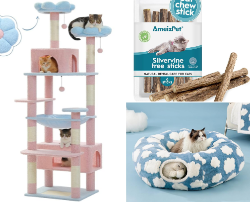Kitty Care: Just as Important as Self Care cover photo collage