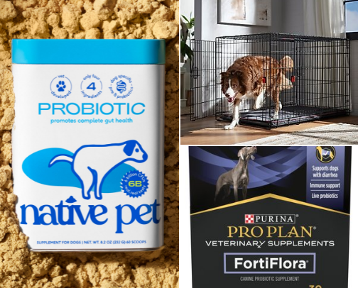 Max's Favs - Dog Goodies cover photo collage