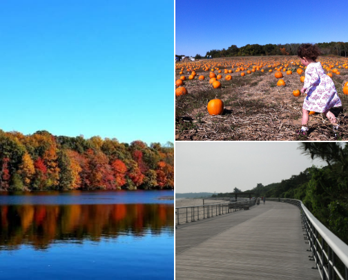 Affordable Things To Do on Long Island cover photo collage