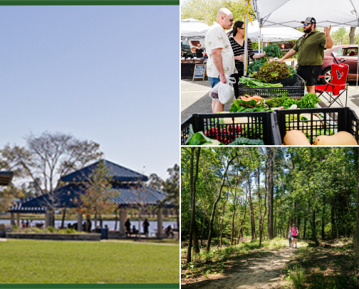 What To Do | Woodlands TX cover photo collage