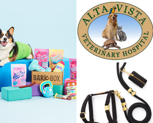 All your pet needs cover photo collage