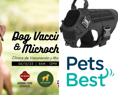 Pets are family cover photo collage