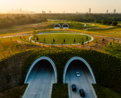 My top Houston recs cover photo collage