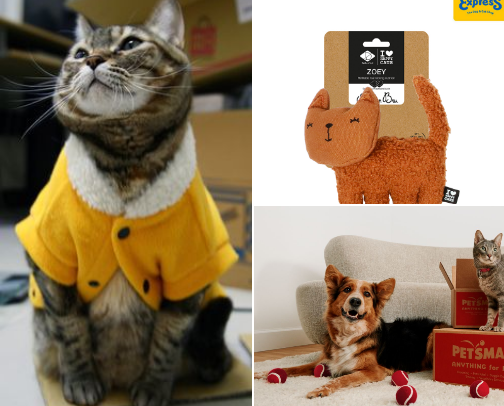 Pet lovers cover photo collage