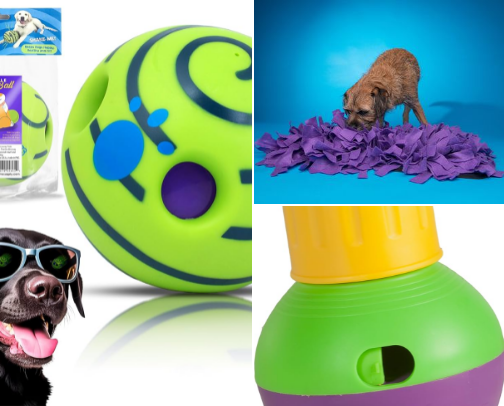 Border Terrier Approved cover photo collage