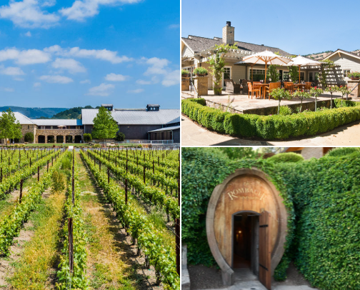 Vineyards I Recommend cover photo collage