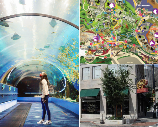 You HAVE to go there cover photo collage