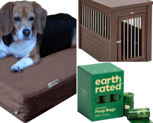 Bringing your Rescue Home - Dog Essentials cover photo collage