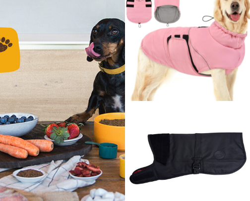 Dog pawrents 🐶🐾🐾 cover photo collage