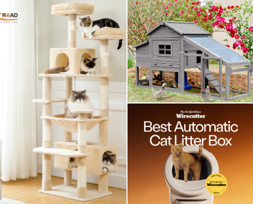 All Things Pets cover photo collage