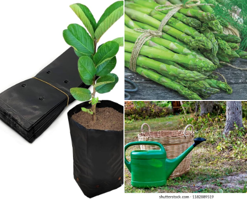 Favorite Garden Items cover photo collage