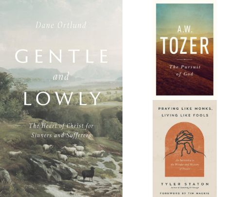 A MUST-READ Christian Books After The BIBLE cover photo collage