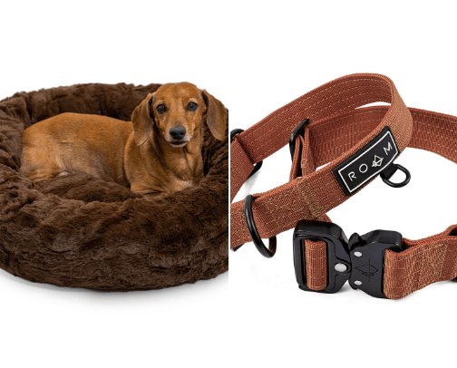 Dog Essentials cover photo collage