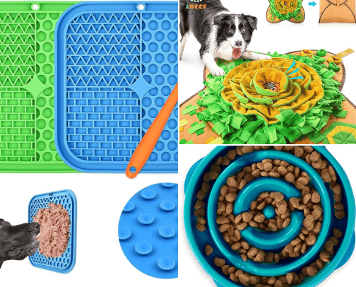 Favorite Dog Products cover photo collage