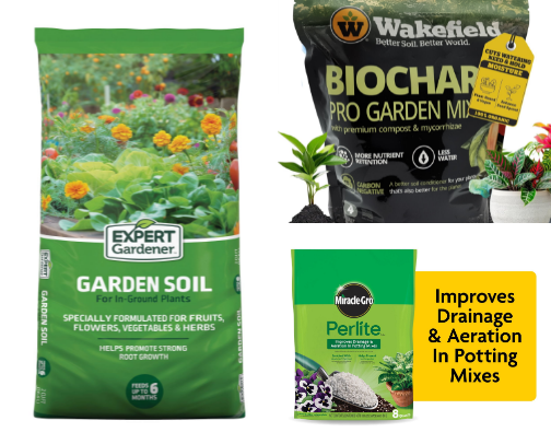 Gardening Finds From a Beginner Gardener cover photo collage