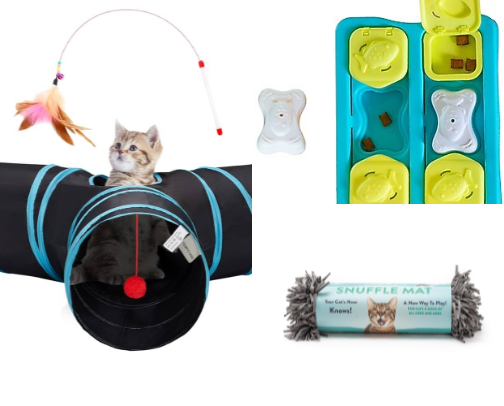 How to upgrade your cat’s life 😻 cover photo collage