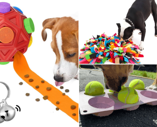 Enrichment games for Dogs cover photo collage
