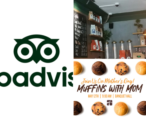 "Modern Mom Eats: Family-Friendly & Fabulous Restaurants". cover photo collage