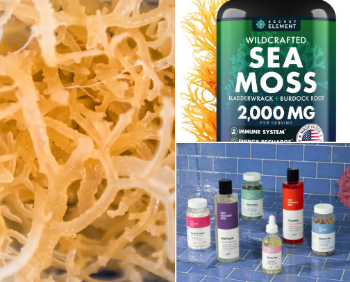 Natural herbs (medicine) cover photo collage