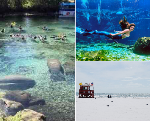 Florida Feels: Where to Eat, Chill & Explore cover photo collage