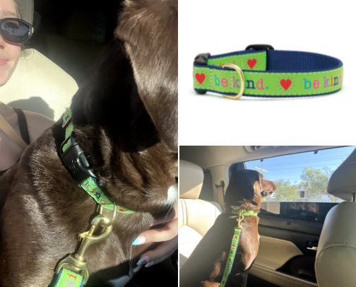 Dog Mom MUST HAVES🐾 cover photo collage