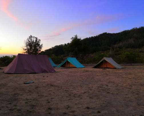 equipment for night in camping tent cover photo collage