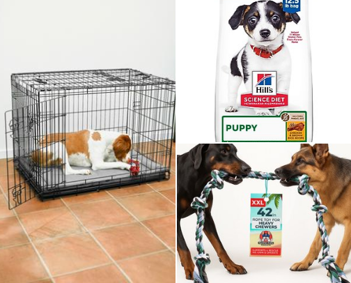 New Pet Essentials from Chewy Every First-Time Owner Actually Needs cover photo collage